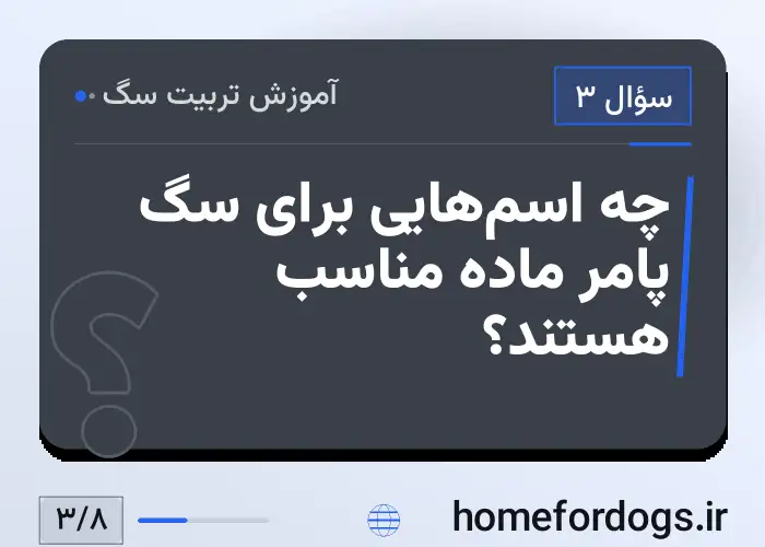 چه اسم‌هایی برای سگ پامر ماده مناسب هستند؟