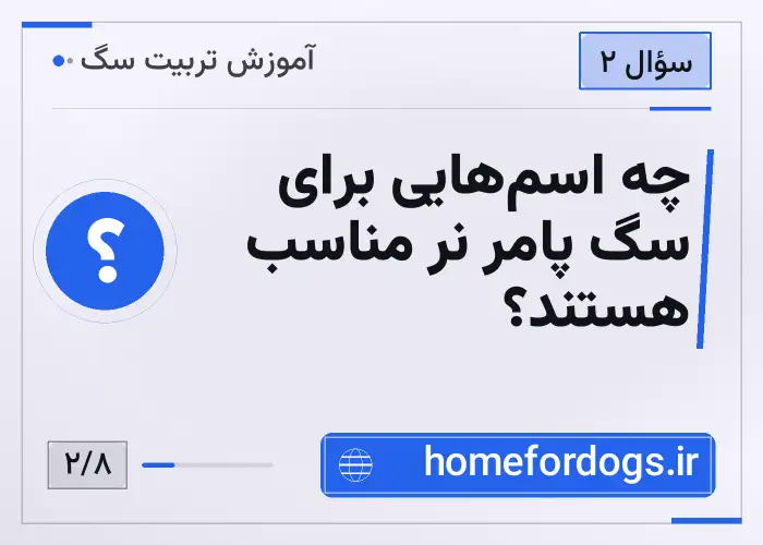 چه اسم‌هایی برای سگ پامر نر مناسب هستند؟