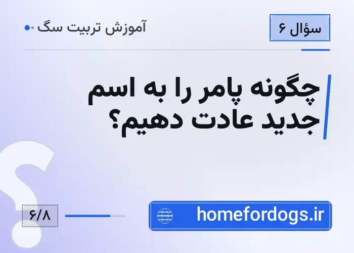 چگونه پامر را به اسم جدید عادت دهیم؟