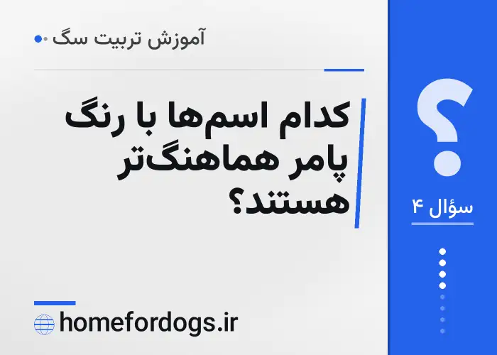 کدام اسم‌ها با رنگ پامر هماهنگ‌تر هستند؟