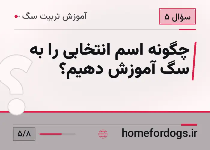 چگونه اسم انتخابی را به سگ آموزش دهیم؟