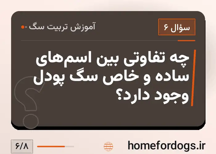 چه تفاوتی بین اسم‌های ساده و خاص سگ پودل وجود دارد؟
