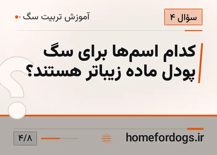 کدام اسم‌ها برای سگ پودل ماده زیباتر هستند؟