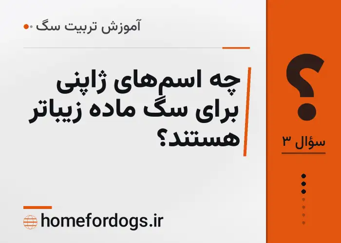 چه اسم‌های ژاپنی برای سگ ماده زیباتر هستند؟