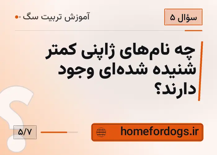 چه نام‌های ژاپنی کمتر شنیده شده‌ای وجود دارند؟