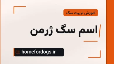 اسم سگ ژرمن