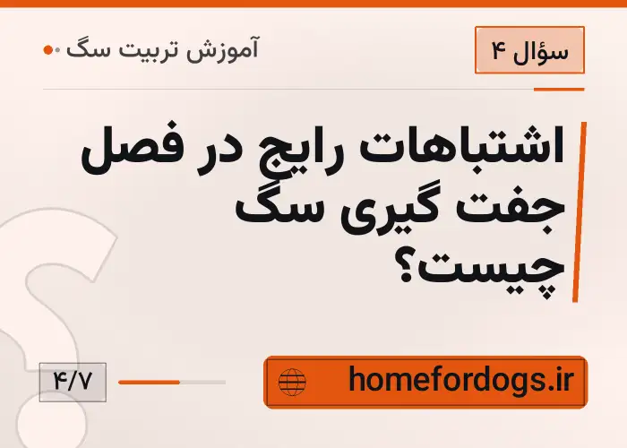 اشتباهات رایج در فصل جفت گیری سگ چیست؟