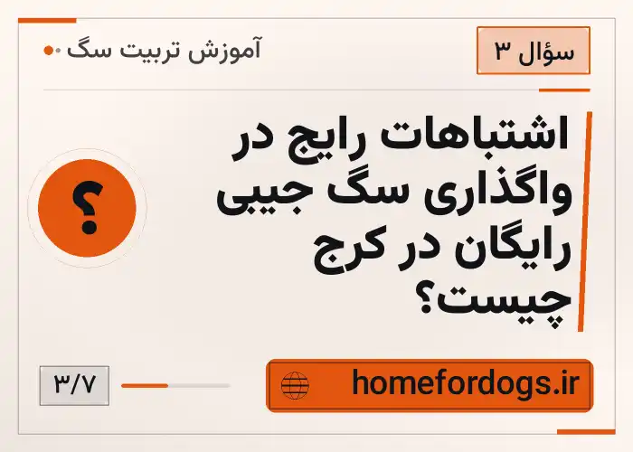 اشتباهات رایج در واگذاری سگ جیبی رایگان در کرج چیست؟