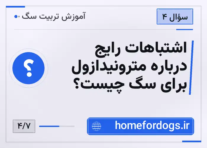 اشتباهات رایج درباره مترونیدازول برای سگ چیست؟