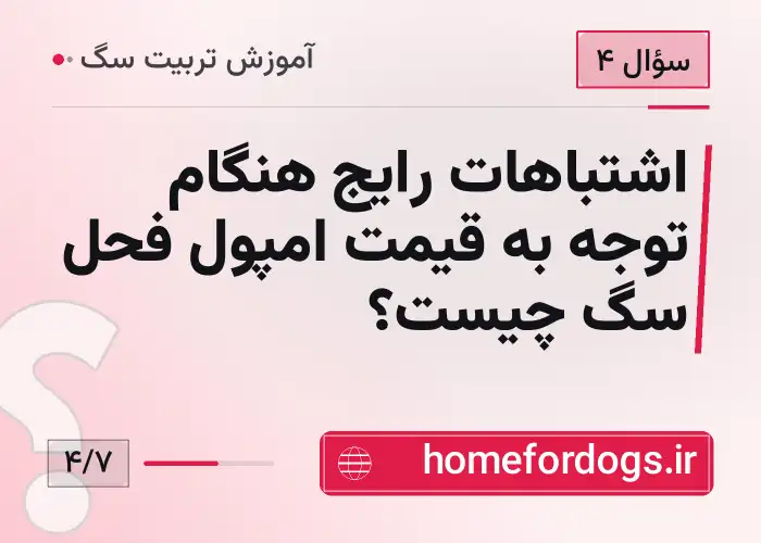 اشتباهات رایج هنگام توجه به قیمت امپول فحل سگ چیست؟