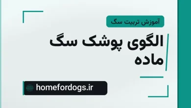 الگوی پوشک سگ ماده