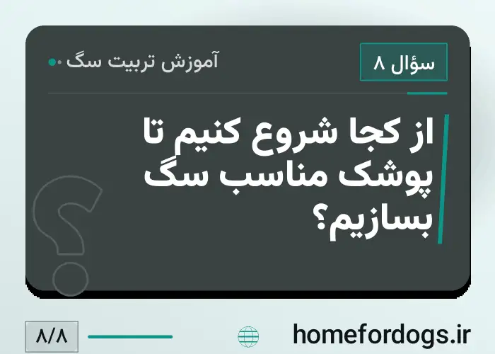 از کجا شروع کنیم تا پوشک مناسب سگ بسازیم؟