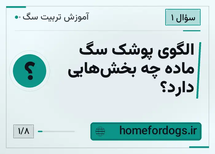 الگوی پوشک سگ ماده چه بخش‌هایی دارد؟