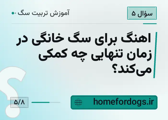 اهنگ برای سگ خانگی در زمان تنهایی چه کمکی می‌کند؟