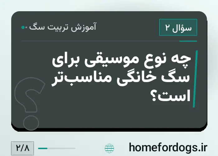 چه نوع موسیقی برای سگ خانگی مناسب‌تر است؟