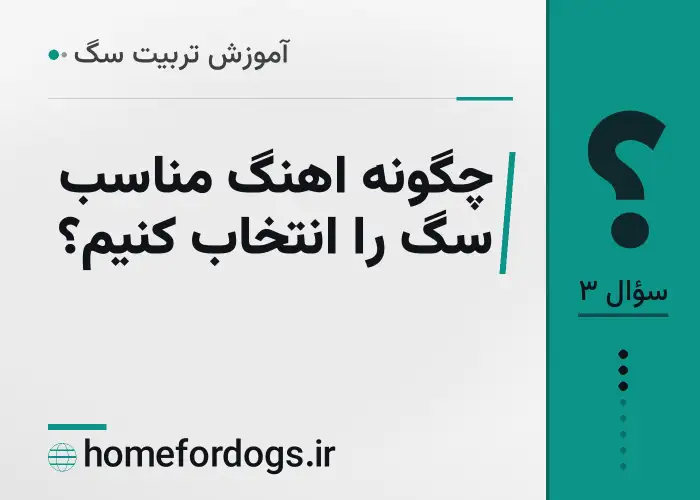 چگونه اهنگ مناسب سگ را انتخاب کنیم؟