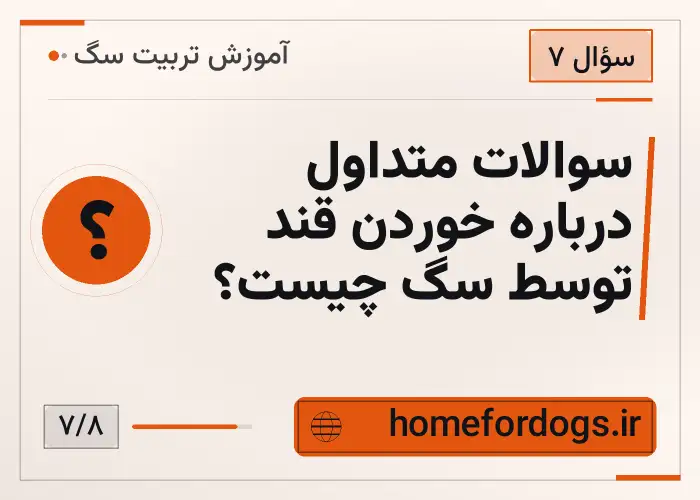 سوالات متداول درباره خوردن قند توسط سگ چیست؟