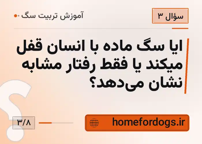 ایا سگ ماده با انسان قفل میکند یا فقط رفتار مشابه نشان می‌دهد؟