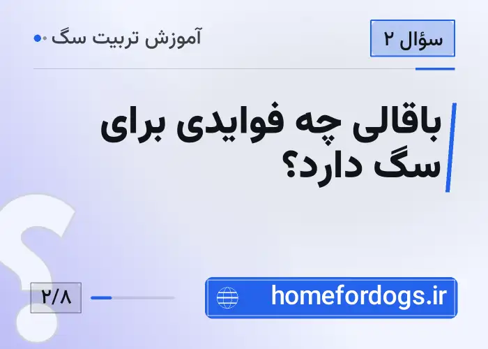 باقالی چه فوایدی برای سگ دارد؟