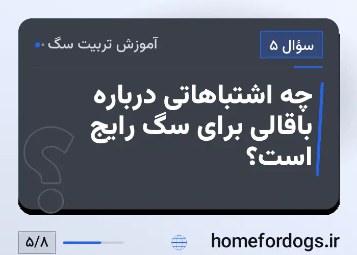چه اشتباهاتی درباره باقالی برای سگ رایج است؟