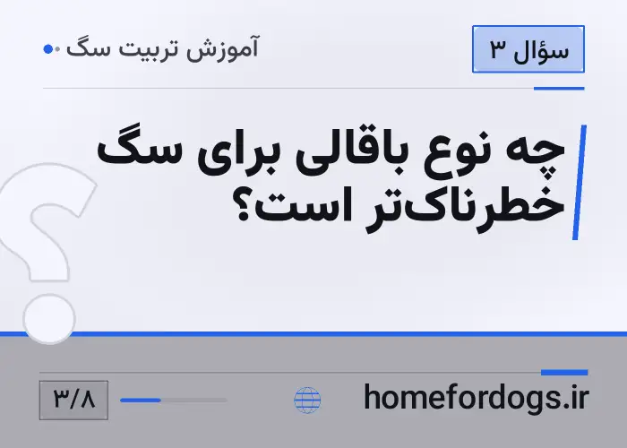 چه نوع باقالی برای سگ خطرناک‌تر است؟