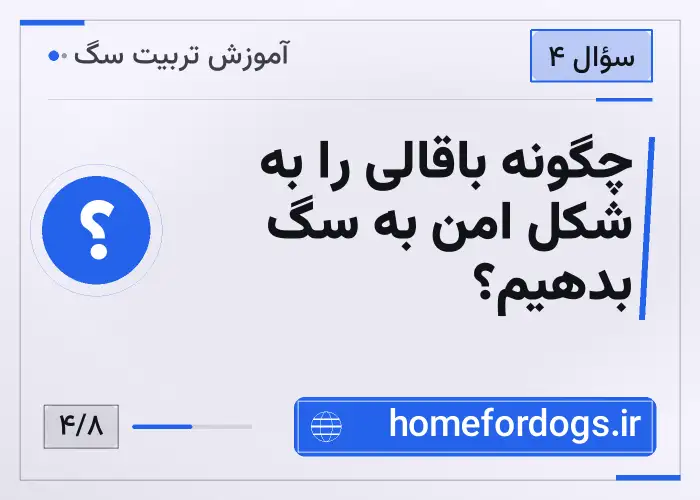 چگونه باقالی را به شکل امن به سگ بدهیم؟