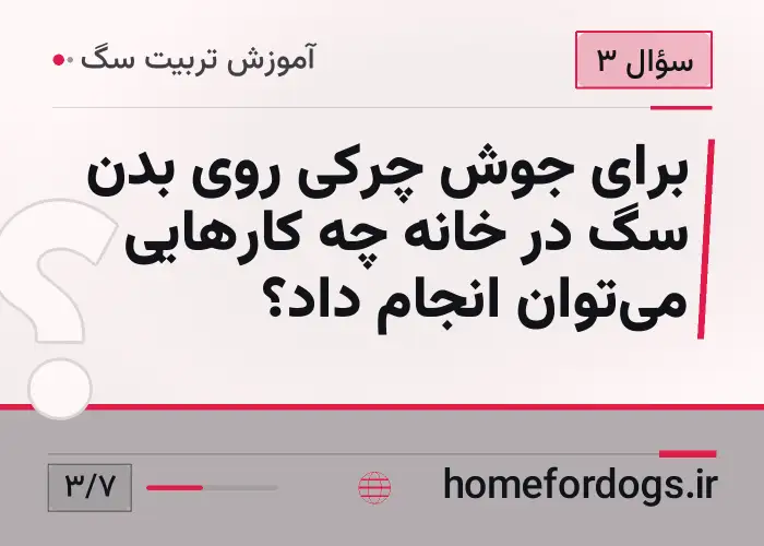 برای جوش چرکی روی بدن سگ در خانه چه کارهایی می‌توان انجام داد؟