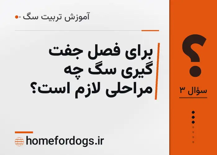 برای فصل جفت گیری سگ چه مراحلی لازم است؟