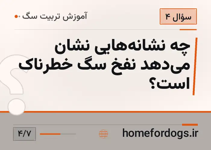 چه نشانه‌هایی نشان می‌دهد نفخ سگ خطرناک است؟