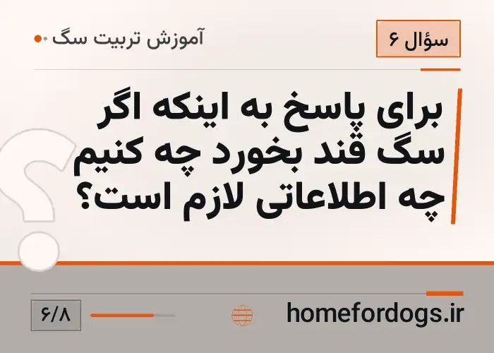 برای پاسخ به اینکه اگر سگ قند بخورد چه کنیم چه اطلاعاتی لازم است؟