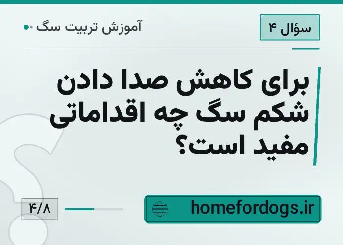 برای کاهش صدا دادن شکم سگ چه اقداماتی مفید است؟