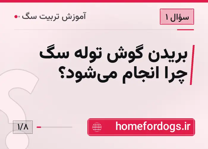 بریدن گوش توله سگ چرا انجام می‌شود؟