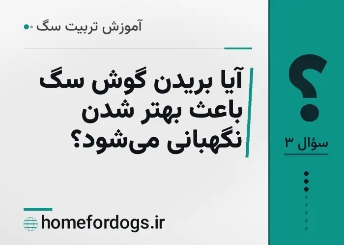 آیا بریدن گوش سگ باعث بهتر شدن نگهبانی می‌شود؟