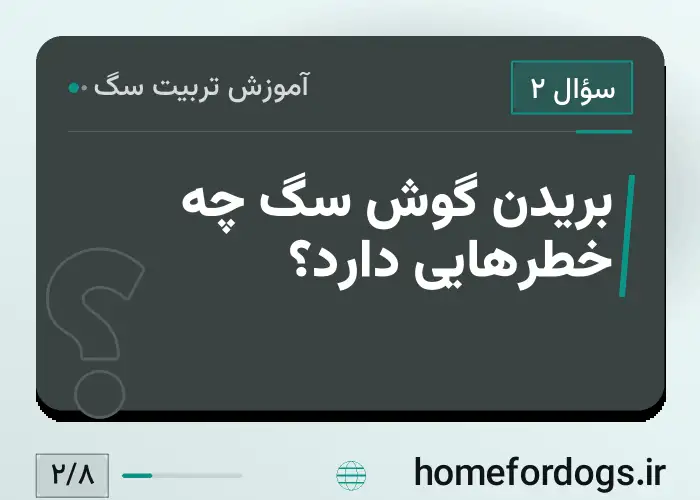 بریدن گوش سگ چه خطرهایی دارد؟
