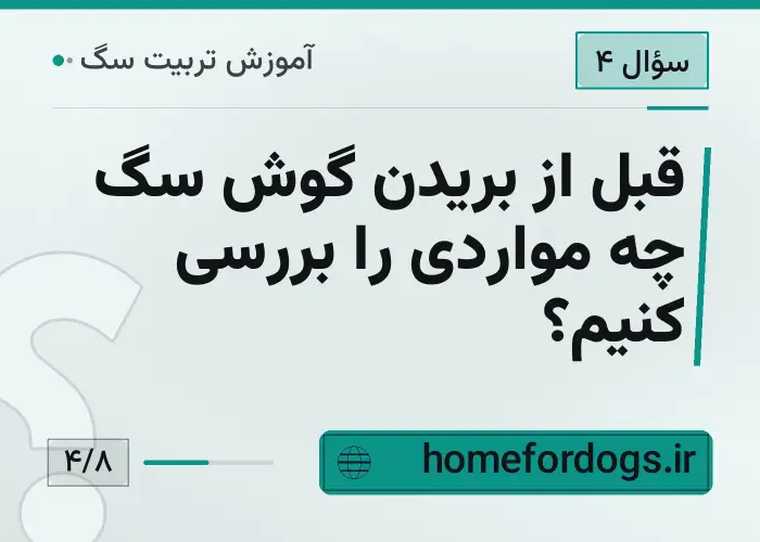 قبل از بریدن گوش سگ چه مواردی را بررسی کنیم؟