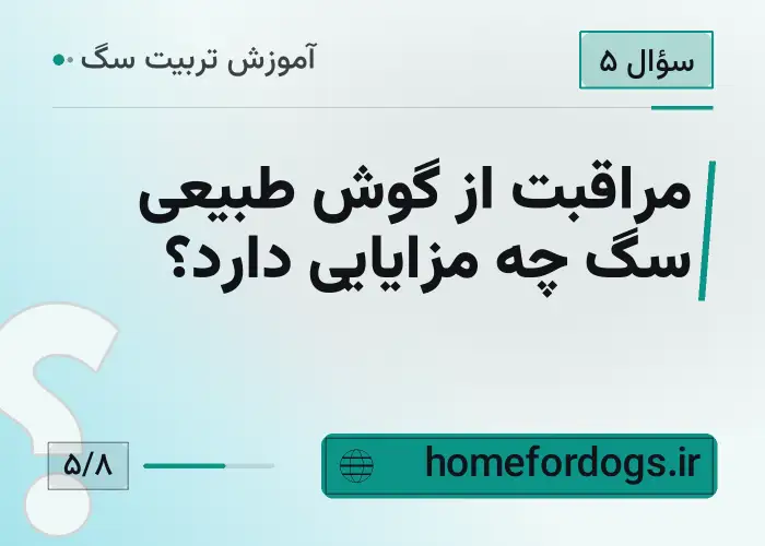 مراقبت از گوش طبیعی سگ چه مزایایی دارد؟