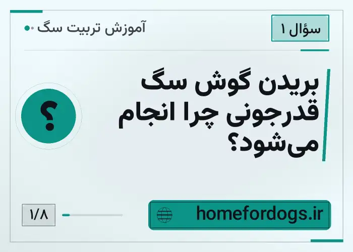 بریدن گوش سگ قدرجونی چرا انجام می‌شود؟