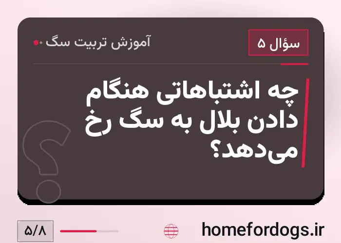چه اشتباهاتی هنگام دادن بلال به سگ رخ می‌دهد؟