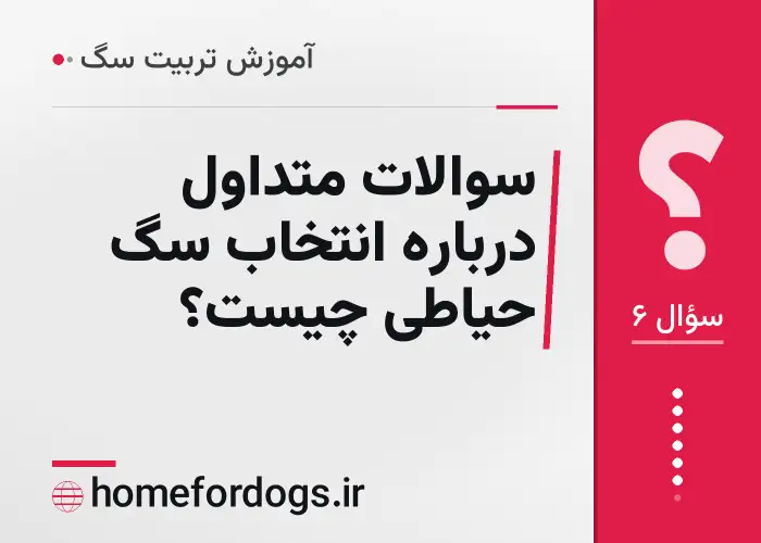 سوالات متداول درباره انتخاب سگ حیاطی چیست؟
