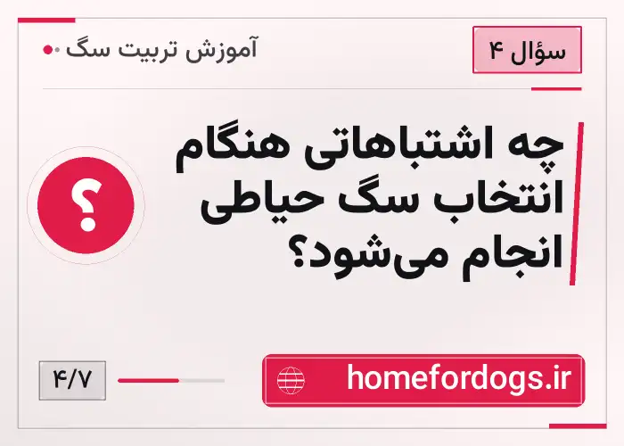 چه اشتباهاتی هنگام انتخاب سگ حیاطی انجام میشود؟