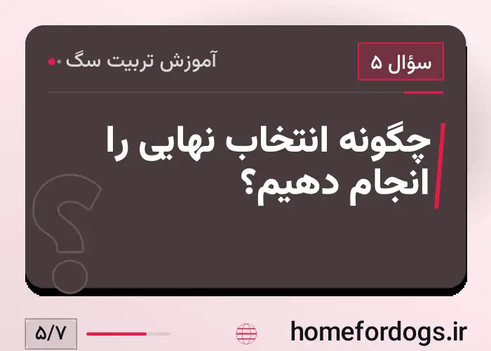 چگونه انتخاب نهایی را انجام دهیم؟