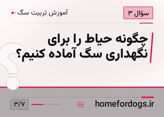 چگونه حیاط را برای نگهداری سگ آماده کنیم؟