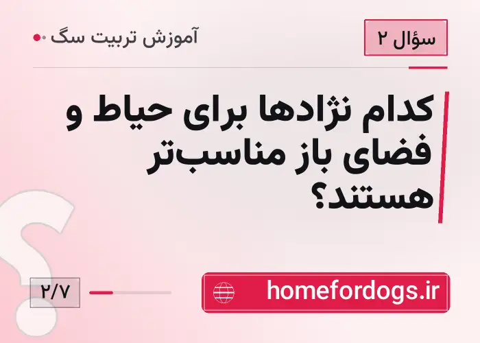 کدام نژادها برای حیاط و فضای باز مناسبتر هستند؟