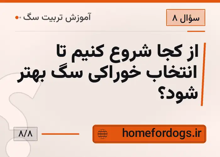 از کجا شروع کنیم تا انتخاب خوراکی سگ بهتر شود؟
