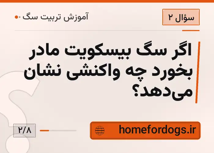 اگر سگ بیسکویت مادر بخورد چه واکنشی نشان میدهد؟