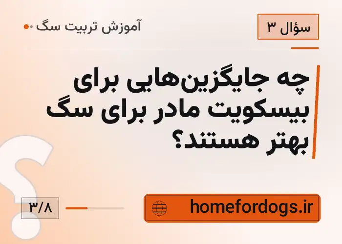 چه جایگزین‌هایی برای بیسکویت مادر برای سگ بهتر هستند؟