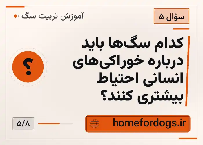 کدام سگ‌ها باید درباره خوراکی‌های انسانی احتیاط بیشتری کنند؟