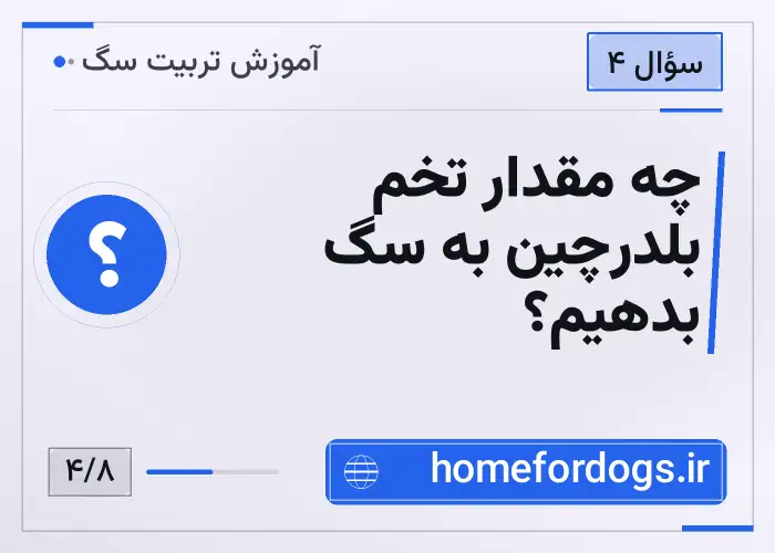 چه مقدار تخم بلدرچین به سگ بدهیم؟