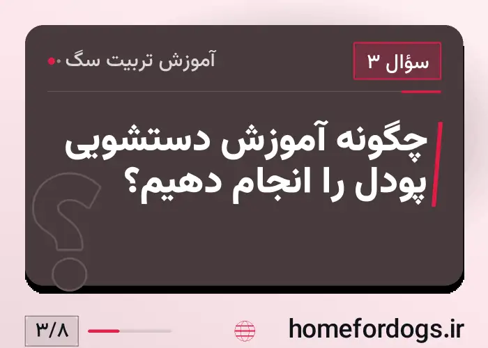 چگونه آموزش دستشویی پودل را انجام دهیم؟