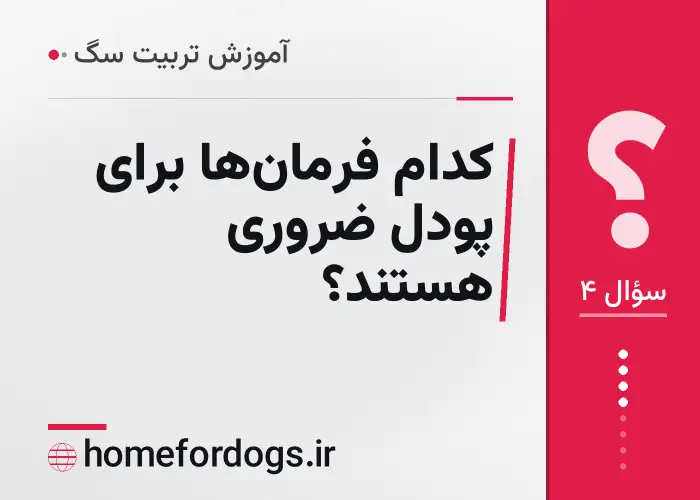 کدام فرمان‌ها برای پودل ضروری هستند؟